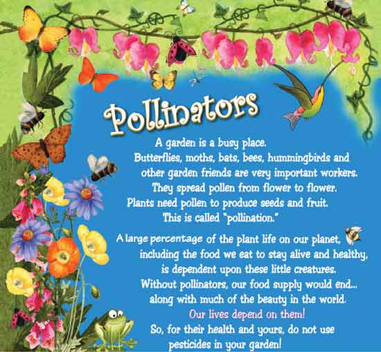 Pollinator-Works - Kids Growing Strong