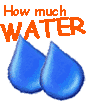 Water_how_much(1)