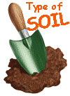 soil_type(1)